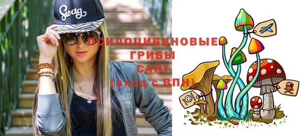 твердый Алексеевка