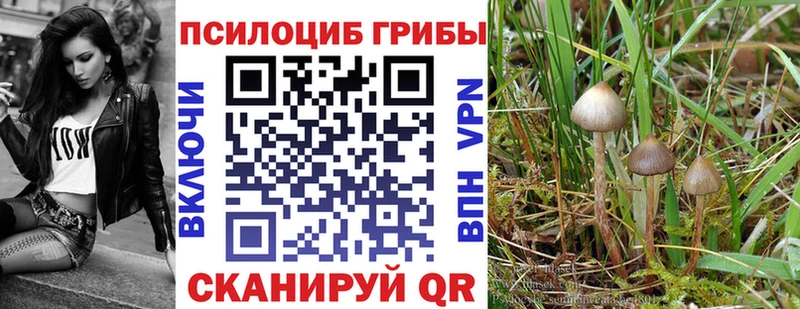 Псилоцибиновые грибы MAGIC MUSHROOMS Петухово